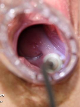 ��������� ����� ����