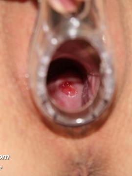 � ���� ����� (�����������). ����� 4 ����